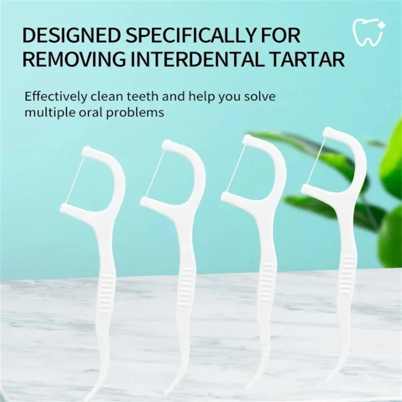 Portable Dental Floss Picks (Travel Box)