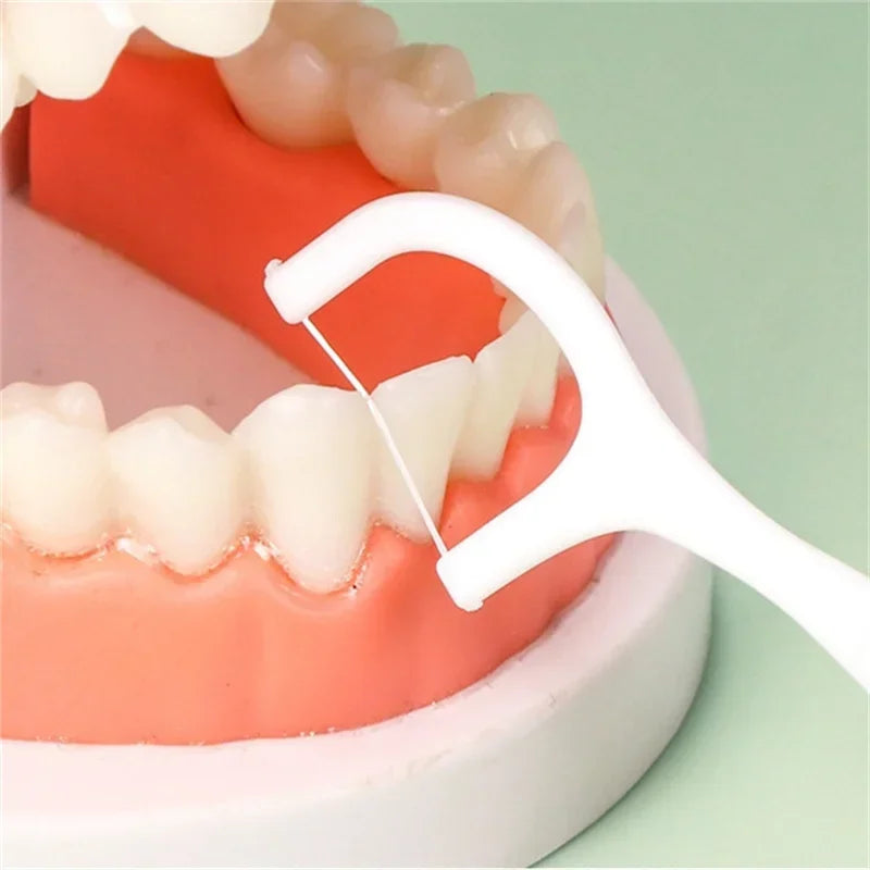 Portable Dental Floss Picks (Travel Box)