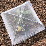 Picnic Food Covers for Outside Mesh: 3/6/12 Packs 17 Inch Pop Up Fine Fly Net for Fruit - Collapsible Screen Umbrella Food Tent